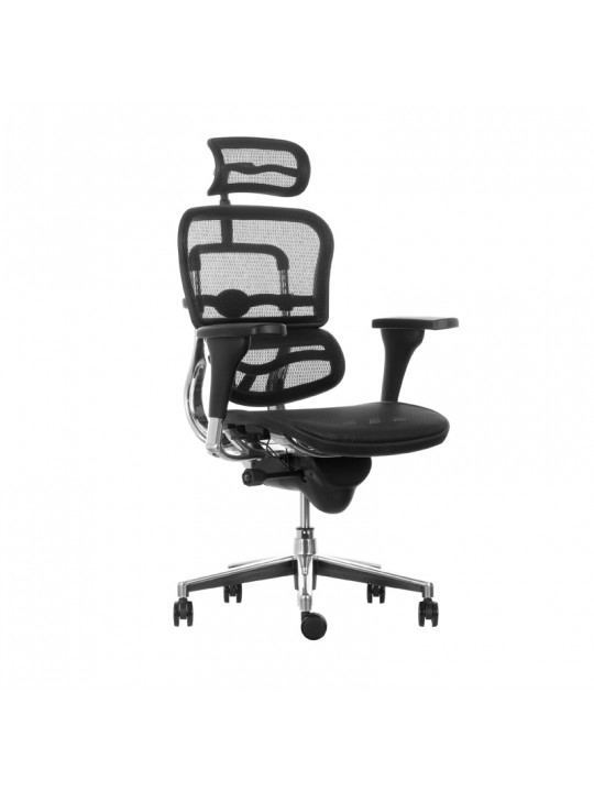 Silla Ergohuman Elite Malla